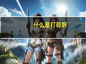 什么是打荷啊