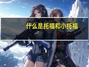 什么是托福和小托福