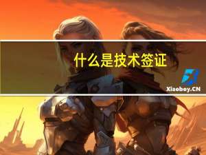 什么是技术签证