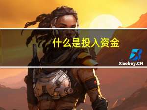 什么是投入资金