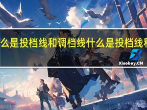 什么是投档线和调档线 什么是投档线和录取线