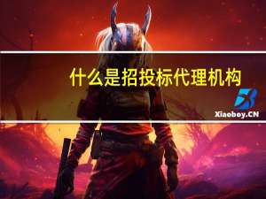 什么是招投标代理机构