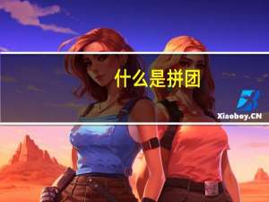 什么是拼团