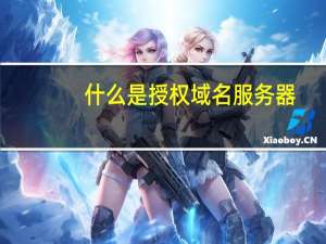 什么是授权域名服务器
