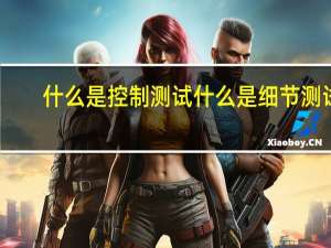 什么是控制测试什么是细节测试？