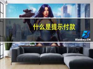 什么是提示付款