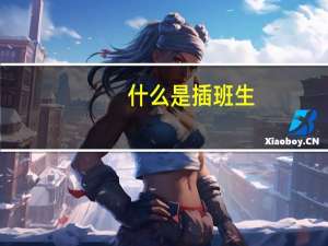 什么是插班生