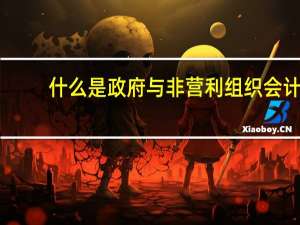 什么是政府与非营利组织会计