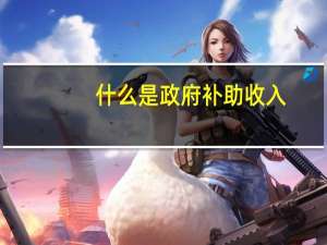 什么是政府补助收入