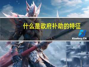 什么是政府补助的特征