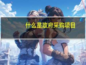 什么是政府采购项目