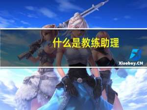 什么是教练助理。教练助理要做些什么