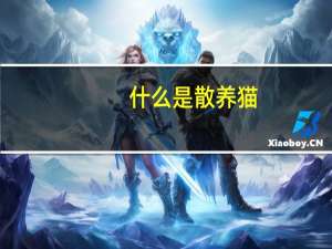 什么是散养猫
