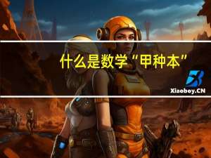 什么是数学“甲种本”