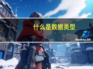 什么是数据类型