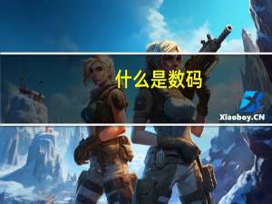 什么是数码