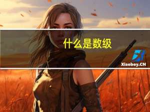 什么是数级