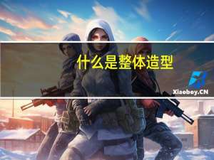 什么是整体造型