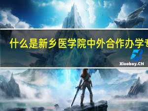 什么是新乡医学院中外合作办学专业
