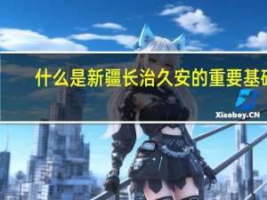 什么是新疆长治久安的重要基础
