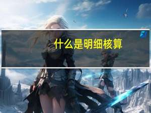 什么是明细核算