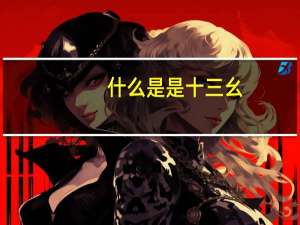什么是是十三幺