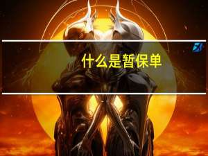 什么是暂保单