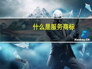 什么是服务商标