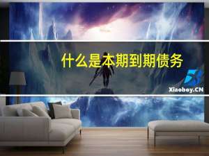 什么是本期到期债务