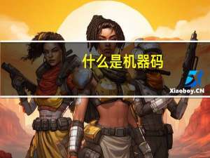 什么是机器码