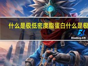 什么是极低密度脂蛋白 什么是极核