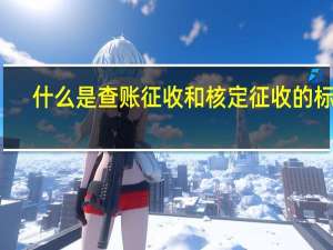 什么是查账征收和核定征收的标准（什么是查账征收和核定征收）