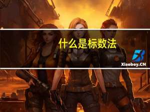 什么是标数法
