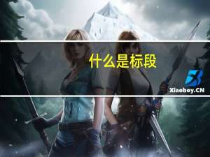 什么是标段