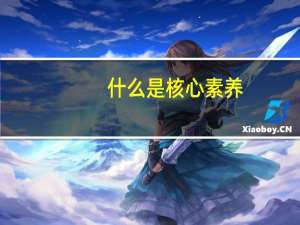 什么是核心素养