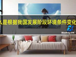 什么是根据我国发展阶段环境条件变化提出来的