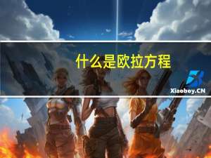 什么是欧拉方程