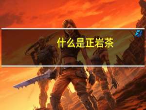 什么是正岩茶