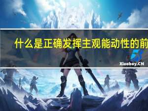 什么是正确发挥主观能动性的前提