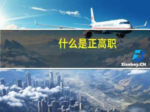什么是正高职