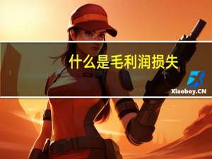 什么是毛利润损失