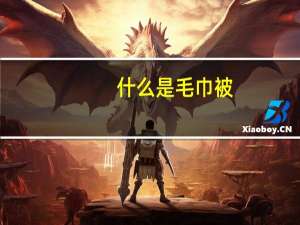 什么是毛巾被