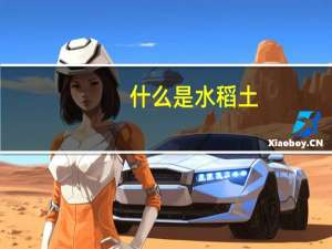 什么是水稻土