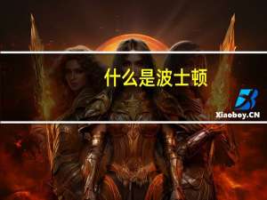 什么是波士顿