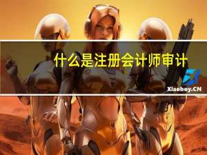 什么是注册会计师审计