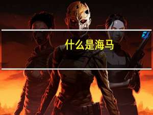 什么是海马
