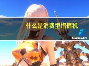 什么是消费型增值税