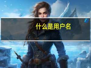 什么是用户名