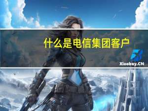 什么是电信集团客户