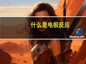 什么是电极反应